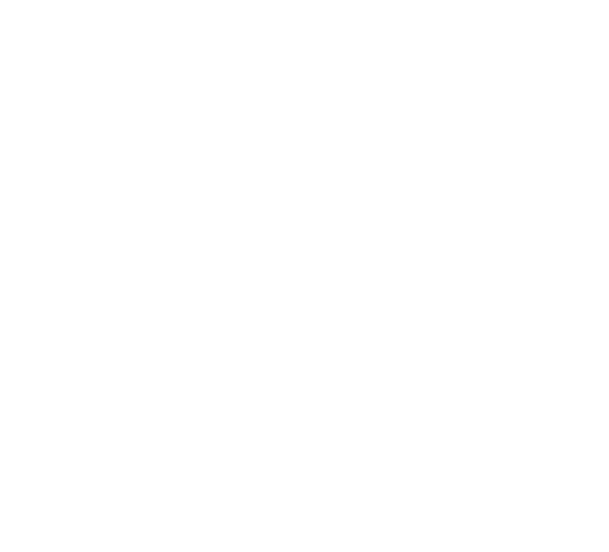 D-BUG Studios